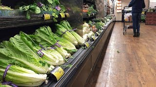 Canadas Tories insist on romaine lettuce recall amid E coli outbreak [upl. by Nessi]