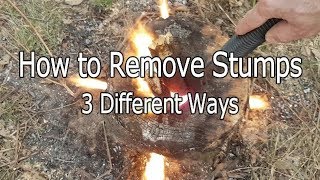 How to Remove Stumps Three Different Ways [upl. by Elraet]