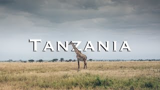 Great Africa Safari in Tanzania  Tarangire National Park [upl. by Ymeon356]