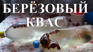 Березовый квас Самый простой рецепт [upl. by Reemas]