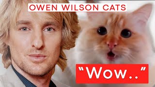 Owen Wilson Cats [upl. by Philemon503]