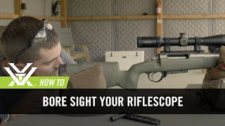 How To Bore Sight Your Rifle [upl. by Sucramat]