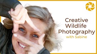 Creative Wildlife Photography Tips with Sabine Stols [upl. by Medora]