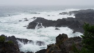 Sonido de Lluvia y Olas del Mar para Dormir y Relajarse  Meditación [upl. by Aivizt]