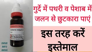 Berberis Vulgaris uses amp benefits in Hindi  गुर्दे की पथरी की छुटकारा [upl. by Nnylsia951]