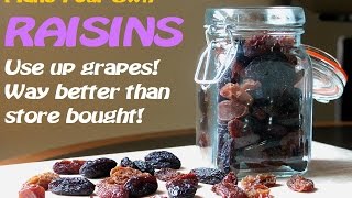 Make Your Own RAISINSNo dehydratorTRY it [upl. by Colburn654]