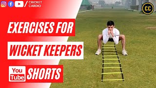 Exercises for Wicket Keepers  Shorts Youtubeshorts [upl. by Oneladgam]