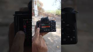 3 Camera Settings Before You Start Photoshoot [upl. by Legnaros]