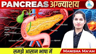 Pancreas in hindiअग्नाशयStructure amp Function [upl. by Hpeosj]