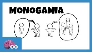 MONOGAMIA E POLIGAMIA [upl. by Val]