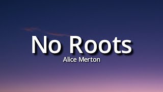 Alice Merton  No Roots Lyrics Tiktok Song  A thousand times [upl. by Atkins]