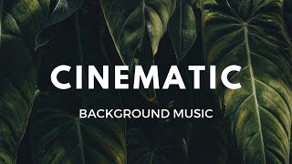 Energetic Rock 30 sec  RoyaltyFree Background Music  Cinematic [upl. by Aninat]