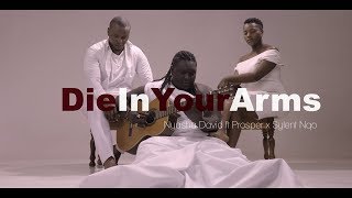 Nyasha David Ft Sylent Nqo amp Prosper  Die in your arms Official Video [upl. by Erde]