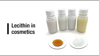 Lecithin in cosmetic formulas [upl. by Reinaldo]