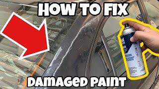 The CHEAPEST Way to Permanently Fix Peeling Paint [upl. by Mont501]