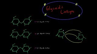 How Glycosidic Linkages are Formed Organic Chemistry Mechanism Carbohydrate Biochemistry MCAT [upl. by Learrsi237]