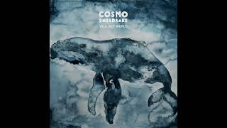 Cosmo Sheldrake  Nekton [upl. by Dian]