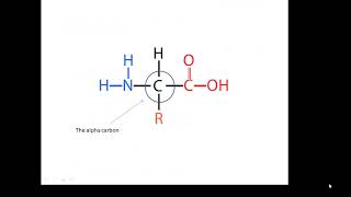 BTEC Applied Science Unit 3 Enzymes 1 [upl. by Hanni793]