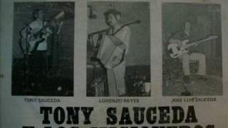 Mis Plegarias  Tony Sauceda [upl. by Nyladam]