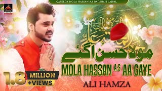 Mola Hassan As Aa Gaye  Ali Hamza  Qasida Amad E Mola Hassan  New Qasida  2017 [upl. by Harret]