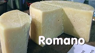 Making Vaccino Romano Cheese [upl. by Suedaht]