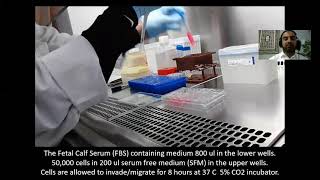 Transwell Insert Method Invasion Assay [upl. by Alicia]