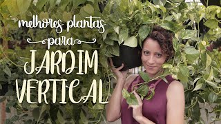 PLANTAS para JARDIM VERTICAL jiboia e FILODENDRO [upl. by Amapuna]