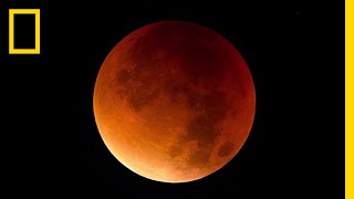 Lunar Eclipse 101  National Geographic [upl. by Tris]