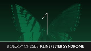 Biology of DSDs 1 Klinefelter Syndrome [upl. by Judy]