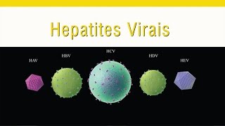 Hepatites Virais [upl. by Naashar]