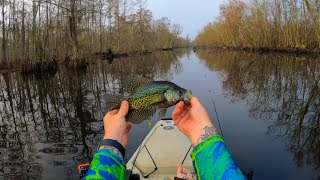 Kayak fishing on the bayou for Sac A Lait  Crappie [upl. by Gabor]