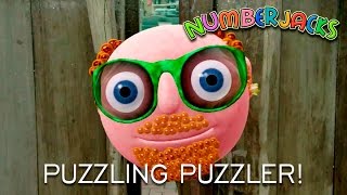 The Puzzler  Puzzling Moments [upl. by Ailet]