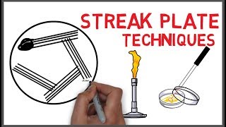 Streak Plate methods and techniques in Microbiology [upl. by Romain]