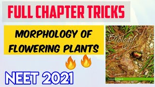 Plant Morphology Full Chapter Tricks  Neet Possible Tricks Series  Target Neet [upl. by Agnola]