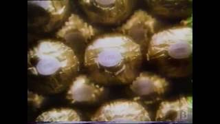 Ferrero Rocher Chocolate Commercial 1990 [upl. by Hewet]