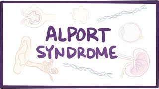 Alport syndrome  an Osmosis preview [upl. by Yeliw]