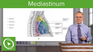 The Morphologic Assessment of Rectal Neuroendocrine Tumors [upl. by Crespo]