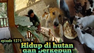 semua kelaparan setelah di tinggal beberapa hari warta petani muda hidup di hutan [upl. by Fesoy642]