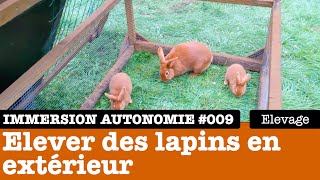 Immersion Autonomie  élever ses lapins à lextérieur en enclos mobiles 33 [upl. by Ader]