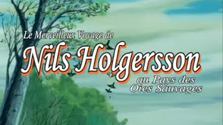 Le Merveilleux Voyage de Nils Holgersson Épisode 1 VF [upl. by Huttan]