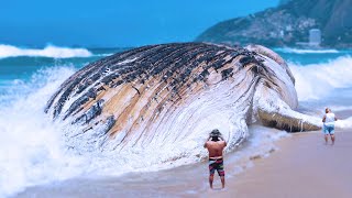 15 Biggest Sea Monsters Ever [upl. by Carlotta]