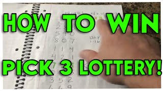 Great Way To Make Money With Lottery 2024 [upl. by Adiv260]