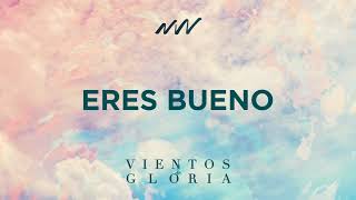 Eres Bueno  Vientos de Gloria  New Wine [upl. by Briny]