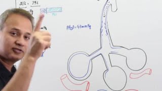 Gas Exchange in Lungs Made Easy [upl. by Oriel916]