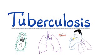 Tuberculosis TB  The Most Comprehensive Explanation  Respiratory Pathology  Pulmonology Series [upl. by Macmahon]