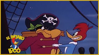 El Pájaro Loco Episodio Completo  Pirata el pájaro loco  Dibujos Animados  Caricaturas [upl. by Gomar]