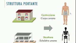 Abitazione  Struttura portante  Classi 2 [upl. by Lynnett]