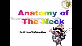 Anatomy  NECK  Complete  Dr Yusuf [upl. by Annairoc233]