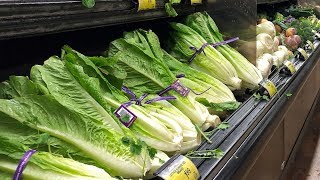 Romaine lettuce E coli outbreak spreads [upl. by Dode]