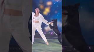 This dancing dog stole the show [upl. by Mcgill]